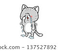 Cat with tears flowing 137527892