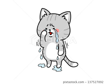 Cat with tears flowing Cat with tears flowing 137527892