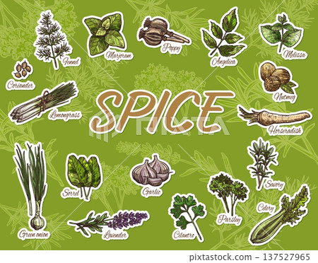 Cooking spices, herbs and food seasonings stickers pack. Vector sketch garlic, mint or melissa, coriander and poppy seeds. Hand drawn parsley and celery leaves, green onion, marjoram and nutmeg spices Cooking spices, herbs and food seasonings stickers pack. Vector sketch garlic, mint or melissa, coriander and poppy seeds. Hand drawn parsley and celery leaves, green onion, marjoram and nutmeg spices 137527965