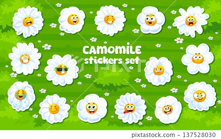 Chamomile daisy flowers characters face stickers pack. Spring flower character vector patch, summer daisy personages. Blooming chamomile sticker with laughing, sad, crazy and foolish, surprised face Chamomile daisy flowers characters face stickers pack. Spring flower character vector patch, summer daisy personages. Blooming chamomile sticker with laughing, sad, crazy and foolish, surprised face 137528030