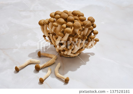 Fresh mushrooms gathered on a light marble surface after a harvest in a kitchen setting Fresh mushrooms gathered on a light marble surface after a harvest in a kitchen setting 137528181