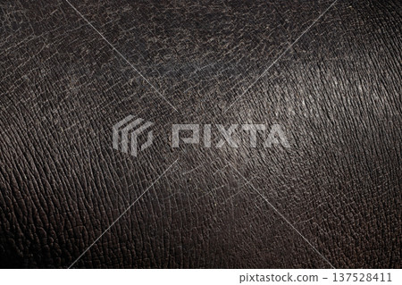 Birch skin Birch skin 137528411