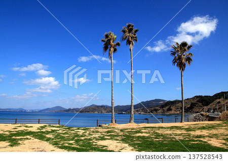 Scenery of Mozaki Dinosaur Park in Nagasaki Scenery of Mozaki Dinosaur Park in Nagasaki 137528543