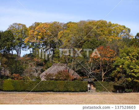 Mukai Kyorai's Soan Rakushisha 137528603