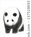 Panda illustration 137528693