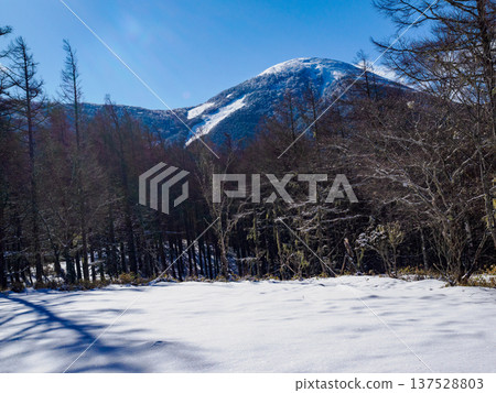 在雪的Tateshina山 在雪的Tateshina山 137528803