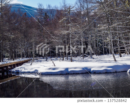 雪野溫泉水自然公園 137528842