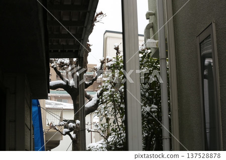 First snow First snow 137528878