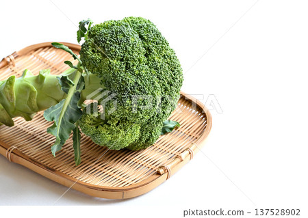 Freshly picked broccoli vegetables 137528902