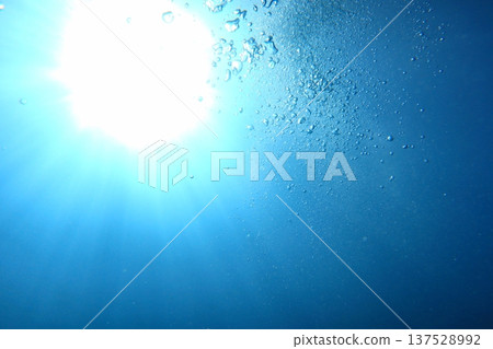 Underwater ray of light - diving 137528992