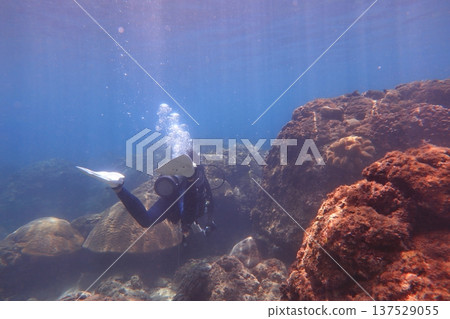 水肺潛水 137529055