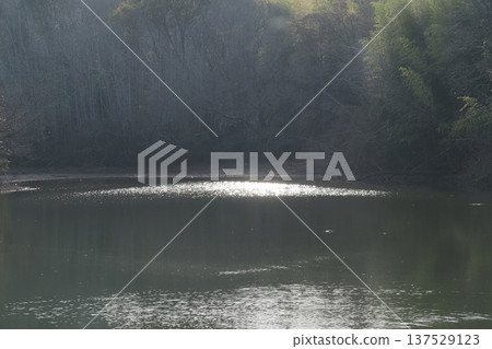 Morning light on the surface of the reservoir 137529123