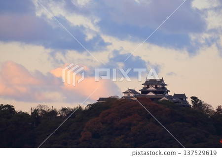伊予松山城在晨曦中熠熠生輝 137529619