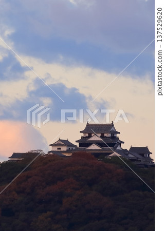 伊予松山城在晨曦中熠熠生輝 137529620