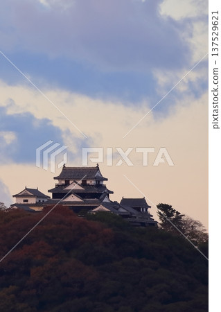 伊予松山城在晨曦中熠熠生輝 137529621