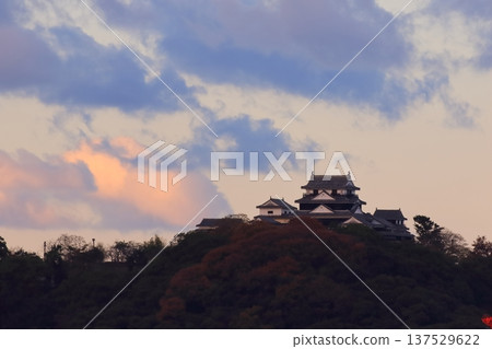 伊予松山城在晨曦中熠熠生輝 伊予松山城在晨曦中熠熠生輝 137529622