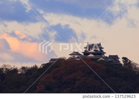 伊予松山城在晨曦中熠熠生輝 137529623