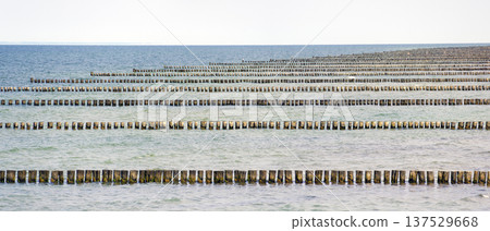 wooden breakwater stakes wooden breakwater stakes 137529668