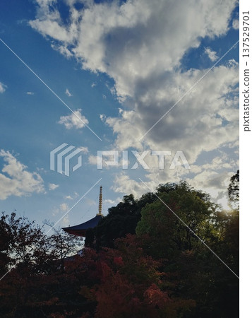 漂浮在秋天天空的雲彩 137529701