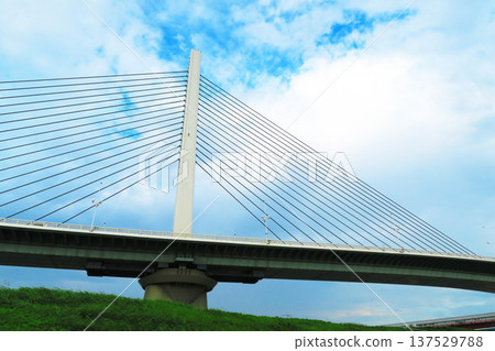 Beautiful scenery of Katsushika Harp Bridge 137529788
