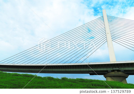 Beautiful scenery of Katsushika Harp Bridge Beautiful scenery of Katsushika Harp Bridge 137529789