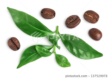 Coffee beans with green coffee leaves isolated on white background. 137529978