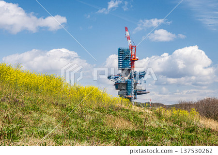 大阪府高槻市淀川河堤上盛開的菜花,以及正在興建中的新名神高速公路。 大阪府高槻市淀川河堤上盛開的菜花,以及正在興建中的新名神高速公路。 137530262
