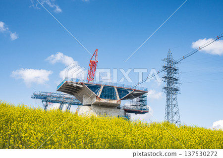 從淀川堤壩下眺望新名神高速公路的建設景象,河岸邊盛開著野花。大阪府高槻市 從淀川堤壩下眺望新名神高速公路的建設景象,河岸邊盛開著野花。大阪府高槻市 137530272