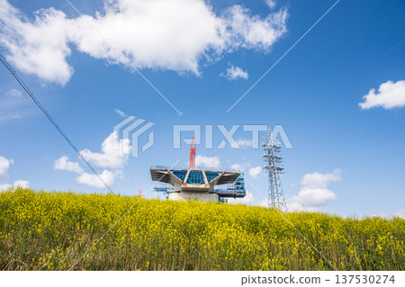 從淀川堤壩下眺望新名神高速公路的建設景象，河岸邊盛開著野花。大阪府高槻市 137530274