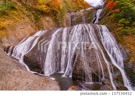 (Ibaraki Prefecture) Fukuroda Falls at the peak of autumn foliage (Ibaraki Prefecture) Fukuroda Falls at the peak of autumn foliage 137530452