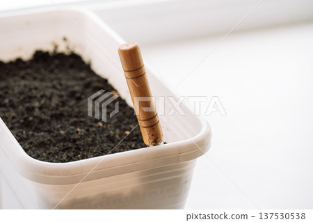 White container filled with soil and small garden trowel, home gardening and planting concept White container filled with soil and small garden trowel, home gardening and planting concept 137530538