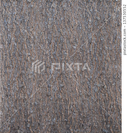 Aged wall texture Aged wall texture 137530552