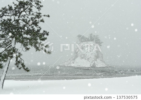 在Mitsuke島上的雪景 在Mitsuke島上的雪景 137530575