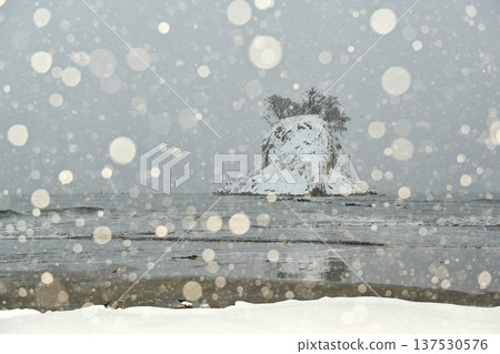 在Mitsuke島上的雪景 在Mitsuke島上的雪景 137530576