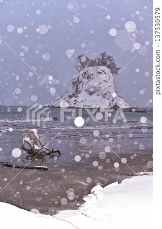 Snow scene on the island of Mitsuke 137530579