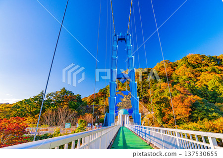 (Ibaraki Prefecture) Ryushin Daisenbashi Autumn leaves (Ibaraki Prefecture) Ryushin Daisenbashi Autumn leaves 137530655