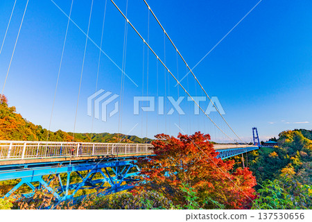 (Ibaraki Prefecture) Ryushin Daisenbashi Autumn leaves (Ibaraki Prefecture) Ryushin Daisenbashi Autumn leaves 137530656