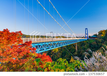 (Ibaraki Prefecture) Ryushin Daisenbashi Autumn leaves (Ibaraki Prefecture) Ryushin Daisenbashi Autumn leaves 137530657