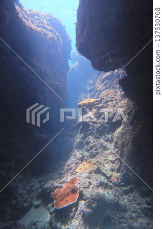 God's Light, Cave Diving God's Light, Cave Diving 137530708