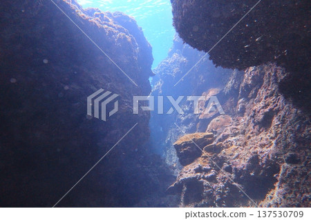 God's Light, Cave Diving 137530709