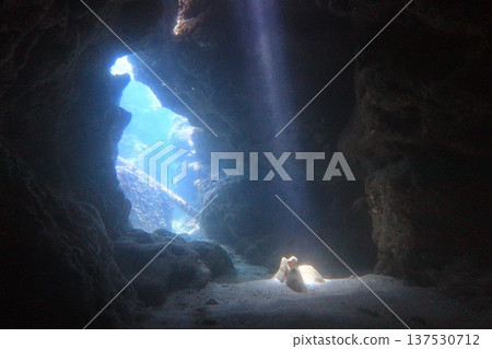 God's Light, Cave Diving God's Light, Cave Diving 137530712