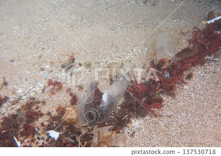 海洋垃圾 廢棄物 塑膠 潛水 海洋垃圾 廢棄物 塑膠 潛水 137530718