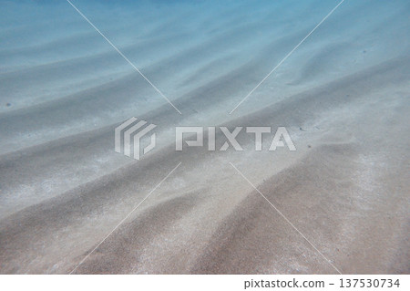 沙地 潛水 沙地 潛水 137530734