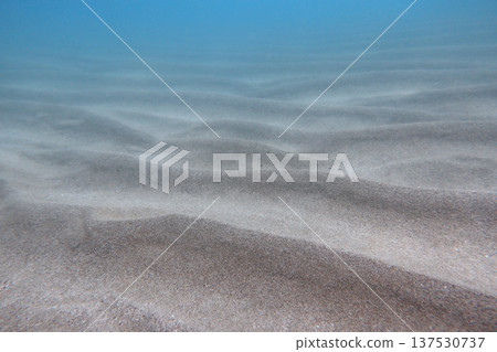 Sand diving 137530737