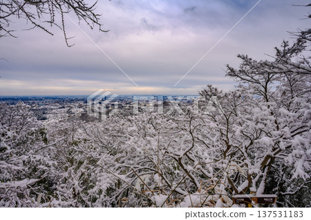 雪（金比拉台公園） 137531183