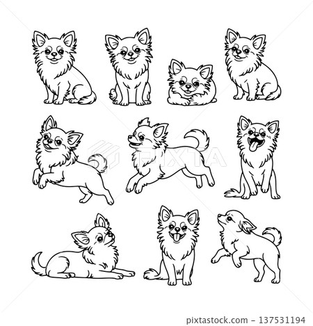 Fourteen different illustrations of playful and happy chihuahuas in various poses and expressions 137531194