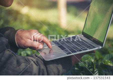 Smart farmer using laptop in eco green farm sustainable quality control. Close up Hand typing laptop computer quality control plant tree. Farmer hands using technology in eco Farmland biotechnology 137531543