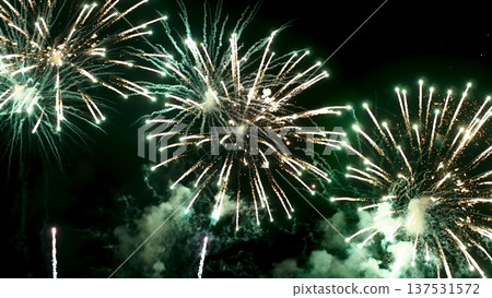 Green Firework celebrate anniversary happy new year 2024, 4th of july holiday festival. Green firework in night time celebrate national holiday. Countdown to new year 2025 festival party time event Green Firework celebrate anniversary happy new year 2024, 4th of july holiday festival. Green firework in night time celebrate national holiday. Countdown to new year 2025 festival party time event 137531572