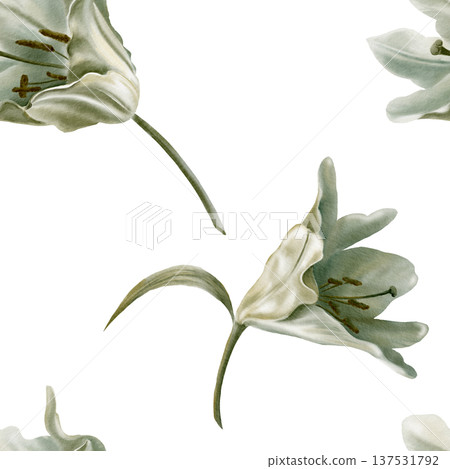 White lilies arranged in seamless pattern,symbolizing purity for first communion,weddings,funeral ceremonies.Watercolor washes,delicate details for religious events,memorials,sacred stationery 137531792