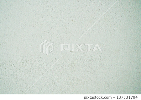 Light Green Textured Wall Background Light Green Textured Wall Background 137531794